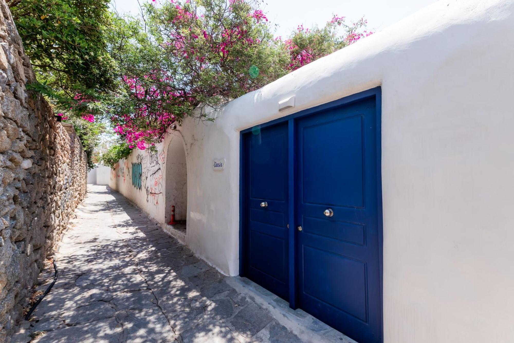 Olive Tree Mykonos Town Semi-Basement Apartment Dış mekan fotoğraf