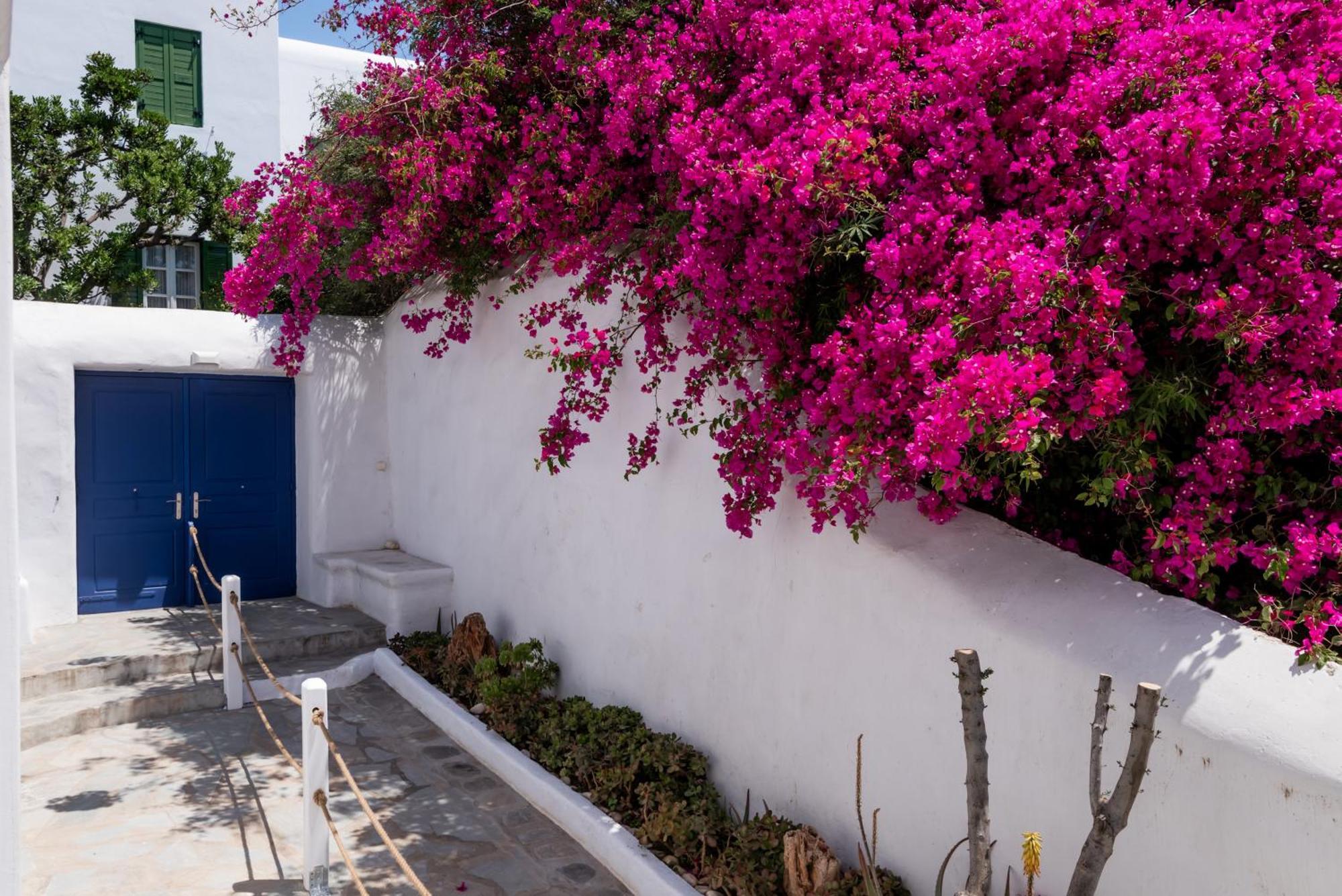 Olive Tree Mykonos Town Semi-Basement Apartment Dış mekan fotoğraf
